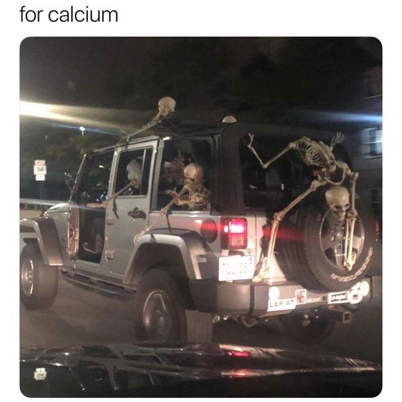 Meet your Posher, Stuart - Picture 1 of 1